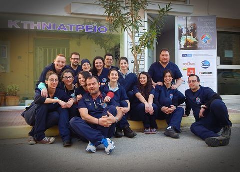 Στείρωσαν 43 αδέσποτα ζώα στον Δήμο Λουτρακίου - Περαχώρας - Αγ. Θεοδώρων 1 KtiniatroiEthelontesLoutraki