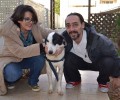 Υιοθέτησαν τον παράλυτο σκύλο που έμεινε ανάπηρος επειδή τον πυροβόλησαν στο Λαύριο