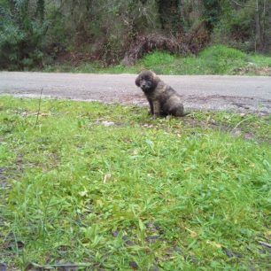 MonolithiPrevezasKoutavia 2