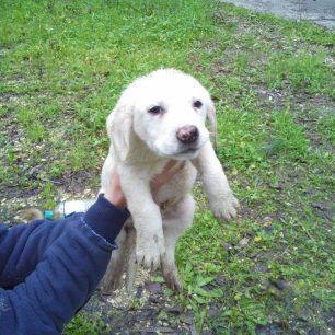 MonolithiPrevezasKoutavia 3