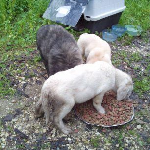 MonolithiPrevezasKoutavia 4