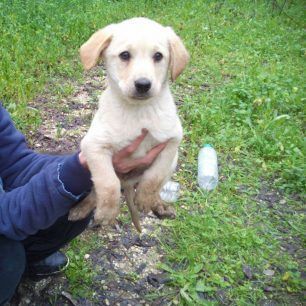 MonolithiPrevezasKoutavia 5