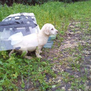 MonolithiPrevezasKoutavia 6