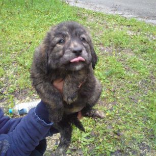 MonolithiPrevezasKoutavia 7