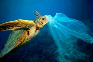 Πανευρωπαϊκός διαγωνισμός καινοτομίας για λιγότερα πλαστικά απόβλητα στις θάλασσες