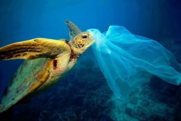 Πανευρωπαϊκός διαγωνισμός καινοτομίας για λιγότερα πλαστικά απόβλητα στις θάλασσες