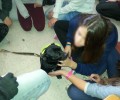 Μαθήματα φιλοζωίας στα σχολεία προσφέρει ένας αδέσποτος σκύλος που βρέθηκε κακοποιημένος στον Ασπρόπυργο
