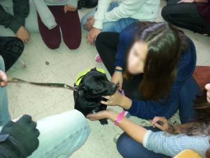 Μαθήματα φιλοζωίας στα σχολεία προσφέρει ένας αδέσποτος σκύλος που βρέθηκε κακοποιημένος στον Ασπρόπυργο