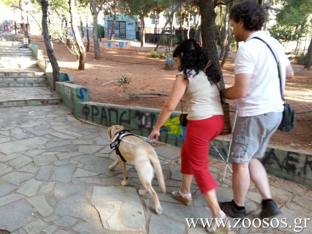 Εκδήλωση - μάθημα για τη συμβίωση τυφλών ανθρώπων με σκύλο - οδηγό