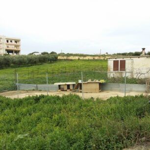 ZoofiliDrasiGaziMaravelaki 20 2 2016 2