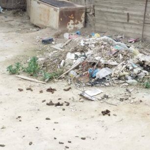 ZoofiliDrasiGaziMaravelaki 20 2 2016 4