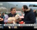 Συνεχίζουν να κακομεταχειρίζονται ζώα για να διαμαρτυρηθούν οι κτηνοτρόφοι (βίντεο)