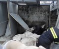 Ανετράπη νταλίκα στην Εγνατία Οδό που μετέφερε δεκάδες άλογα, άγνωστος ο αριθμός των νεκρών ζώων