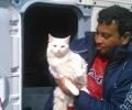 Προσέφεραν προμήθειες στις γάτες των προσφύγων στην Ειδομένη