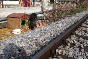 Βρήκαν τον σκελετωμένο σκύλο αλυσοδεμένο πάνω στις γραμμές του τρένου στη Λάρισα