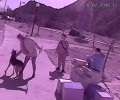 Νίκαια: Εγκατέλειψαν τον σκύλο τους αλλά τους κατέγραψε η κάμερα (βίντεο)