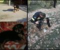 Οι πυροσβέστες έσωσαν το κουταβάκι που είχε εγκλωβιστεί σε γκρεμό στην Πετρούπολη Αττικής