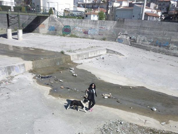 Βόλος: Έβγαλαν από το ποτάμι το μεγαλόσωμο σκυλί που είχε παγιδευτεί εκεί