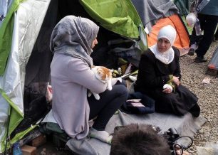 Έκκληση για τη φιλοξενία της οικογένειας των προσφύγων και τον διάσημο γάτο τους