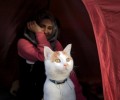 Στην Ειδομένη του Κιλκίς οι πρόσφυγες μέσα στη σκηνή μαζί με την γάτα τους (βίντεο)