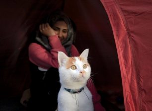 Στην Ειδομένη του Κιλκίς οι πρόσφυγες μέσα στη σκηνή μαζί με την γάτα τους (βίντεο)
