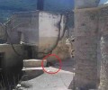 Σφεντύλι Ηρακλείου Κρήτης: Τουρίστας βρήκε τον σκύλο αλυσοδεμένο στο ακατοίκητο χωριό!