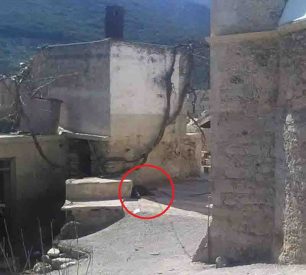 Σφεντύλι Ηρακλείου Κρήτης: Τουρίστας βρήκε τον σκύλο αλυσοδεμένο στο ακατοίκητο χωριό!