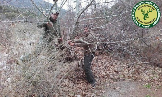 Κατέστρεψαν τις 5 συρμάτινες θηλιές παγίδευσης αγριογούρουνων που βρήκαν στην Αργολίδα