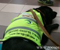 Εμπόδιζε τον σκύλο – συνοδό τυφλού να μπει στο ΜΕΤΡΟ παρά το γεγονός ότι του έδειξαν τη νομοθεσία