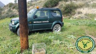 Κορινθία: Καταδικάστηκε ο άνδρας που συστηματικά βάζει δίχτυα, ξόβεργες και παγιδεύει άγρια ωδικά πτηνά
