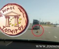 Π.Φ.Π.Ο.: Όταν οι δημοτικές αρχές καλύπτουν τους δολοφόνους