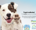 Γιορτή Υιοθεσίας Αδέσποτων στη Θεσσαλονίκη 8-9/4 στο «Διεθνές Φεστιβάλ Σκύλων 2016»