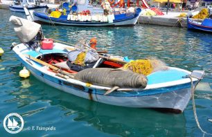 H πιο γνωστή φώκια της Σάμου απολαμβάνει τον ήλιο και τον ύπνο πάνω στη βάρκα