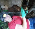 Καρδίτσα: Έσωσαν το γατάκι που είχε παγιδευτεί σε σωλήνα και κινδύνευε να πνιγεί