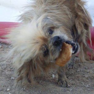 PekinouaMenidiXorisTsip 1
