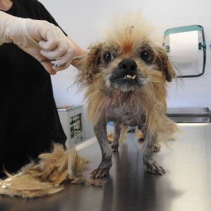 PekinouaMenidiXorisTsip 5