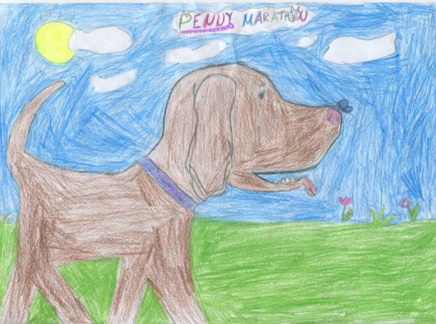 Διαγωνισμός παιδικής ζωγραφιάς για το λογότυπο του μαραθώνιου αγώνα δρόμου για τ’ αδέσποτα «Penny Marathon»