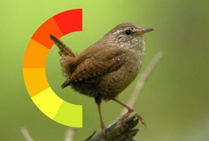 Έρευνα επιβεβαιώνει πως θανάσιμος κίνδυνος για τα πτηνά είναι η κλιματική αλλαγή