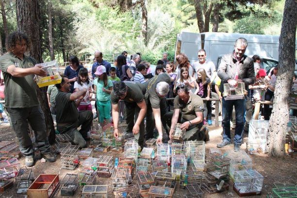 450 άγρια πουλιά, κουκουβάγιες μέχρι αηδόνια κατασχέθηκαν χθες στο παζάρι του Σχιστού