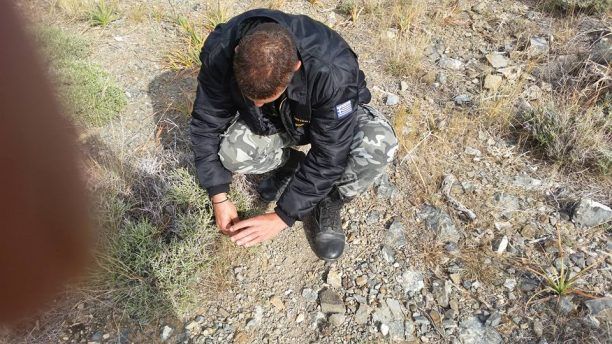 Συνέλαβαν μετά από καταδίωξη τον άνδρα που έβαλε 27 συρμάτινες θηλιές για λαγούς στο Λέντα Ηρακλείου