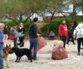 To Ελληνικό Κέντρο Εκπαίδευσης Σκύλων διοργανώνει τον καθαρισμό της παραλίας του Αλίμου στις 14/5