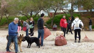 To Ελληνικό Κέντρο Εκπαίδευσης Σκύλων διοργανώνει τον καθαρισμό της παραλίας του Αλίμου στις 14/5
