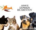 Ο Δήμος Σερβίων – Βελβεντού καταδικάζει την εξόντωση ζώων με φόλες αλλά πέραν αυτού τι άλλο κάνει για τ’ αδέσποτα;