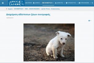 Τι απαντά ο Δήμος Ξάνθης για την διαχείριση των αδέσποτων ζώων