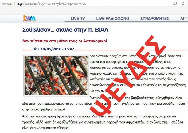 Διαψεύδει ο αστυνομικός διευθυντής Χίου τα περί σουβλίσματος σκύλου από πρόσφυγες