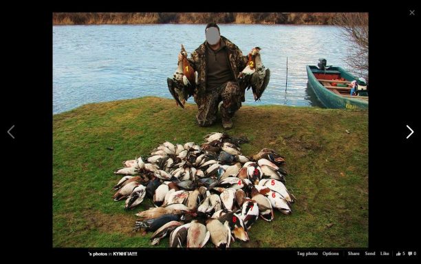 Πρόεδρος Κυνηγετικού Συλλόγου στον Έβρο σκοτώνει προστατευόμενα είδη και τα δημοσιεύει στο facebook