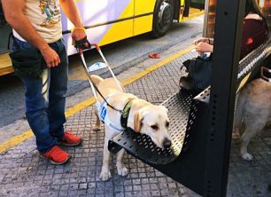 Κατήγγειλε τον οδηγό που ζητούσε από την τυφλή γυναίκα να κατέβει από το λεωφορείο με τον σκύλο – οδηγό της