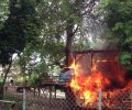 Παραδέχονται ότι έβαλαν τη φωτιά που έκαψε ζωντανά 8 παπάκια & έθεσε σε κίνδυνο 28 κουτάβια στα Τρίκαλα
