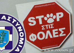 Οδηγίες για το πως κάνουμε καταγγελία αν βρούμε αδέσποτα ζώα δηλητηριασμένα ή νεκρά από φόλες