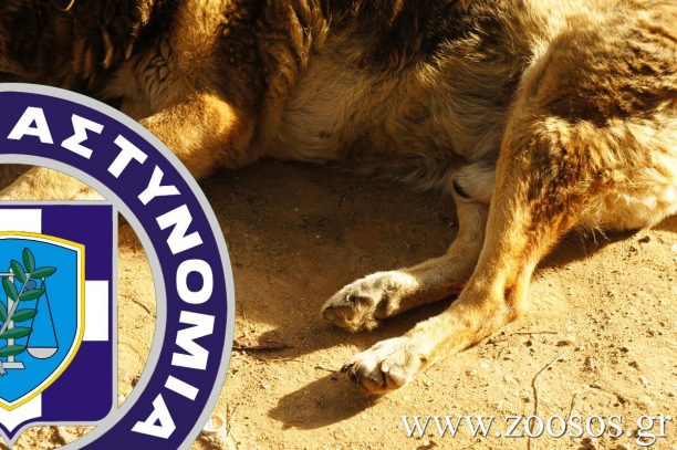 Ποινική δίωξη σε βάρος του δημάρχου Αμφίκλειας - Ελάτειας για δηλητηρίαση ζώων με φόλες στη Φθιώτιδα